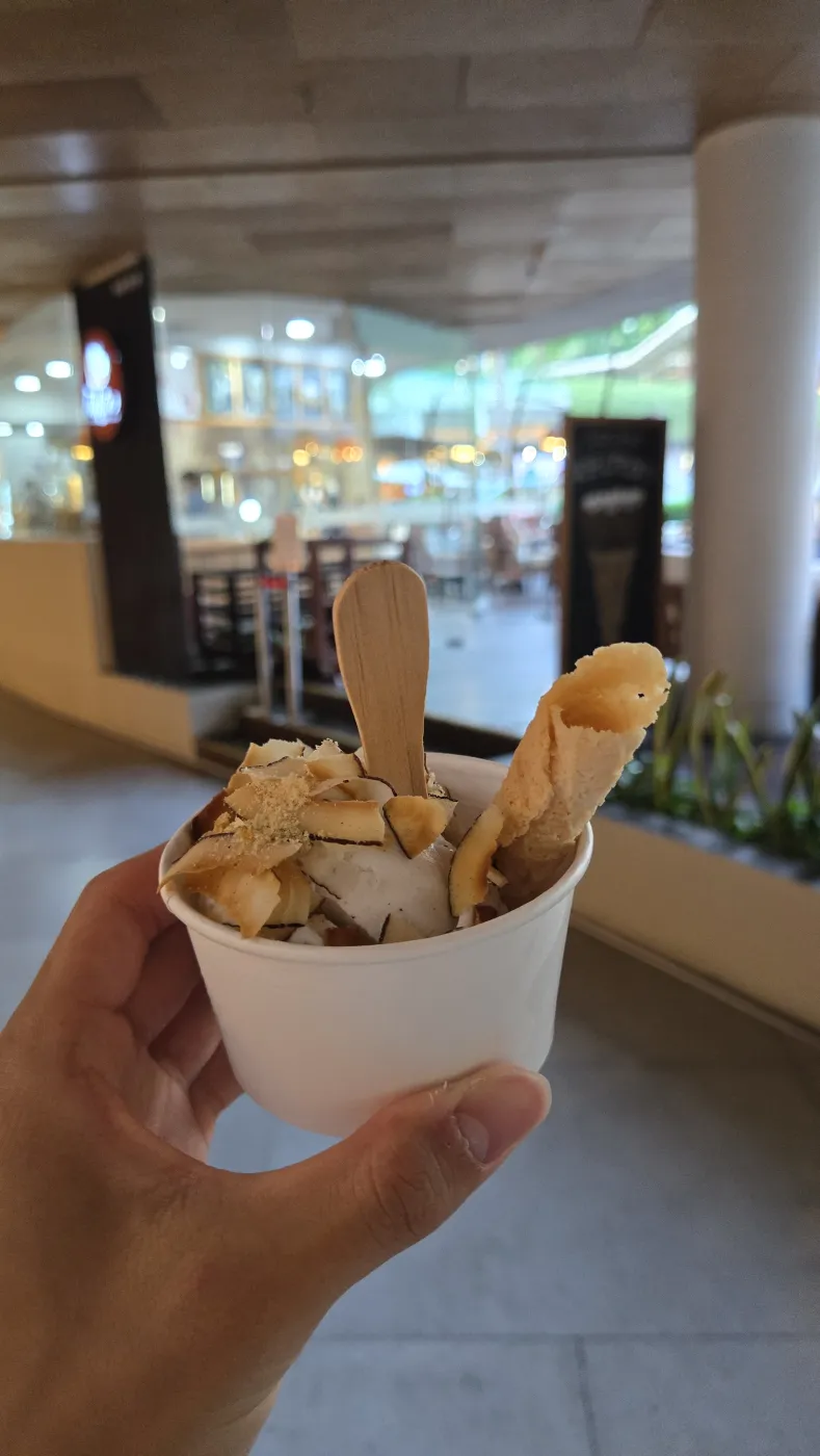 비치워크 몰에서 코코넛 아이스크림 한 컵을 손에 든 모습, 코코넛 칩과 롤 웨하스