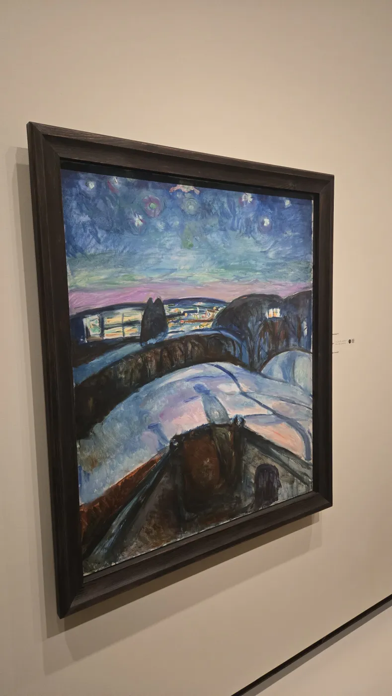 뭉크의 Starry night