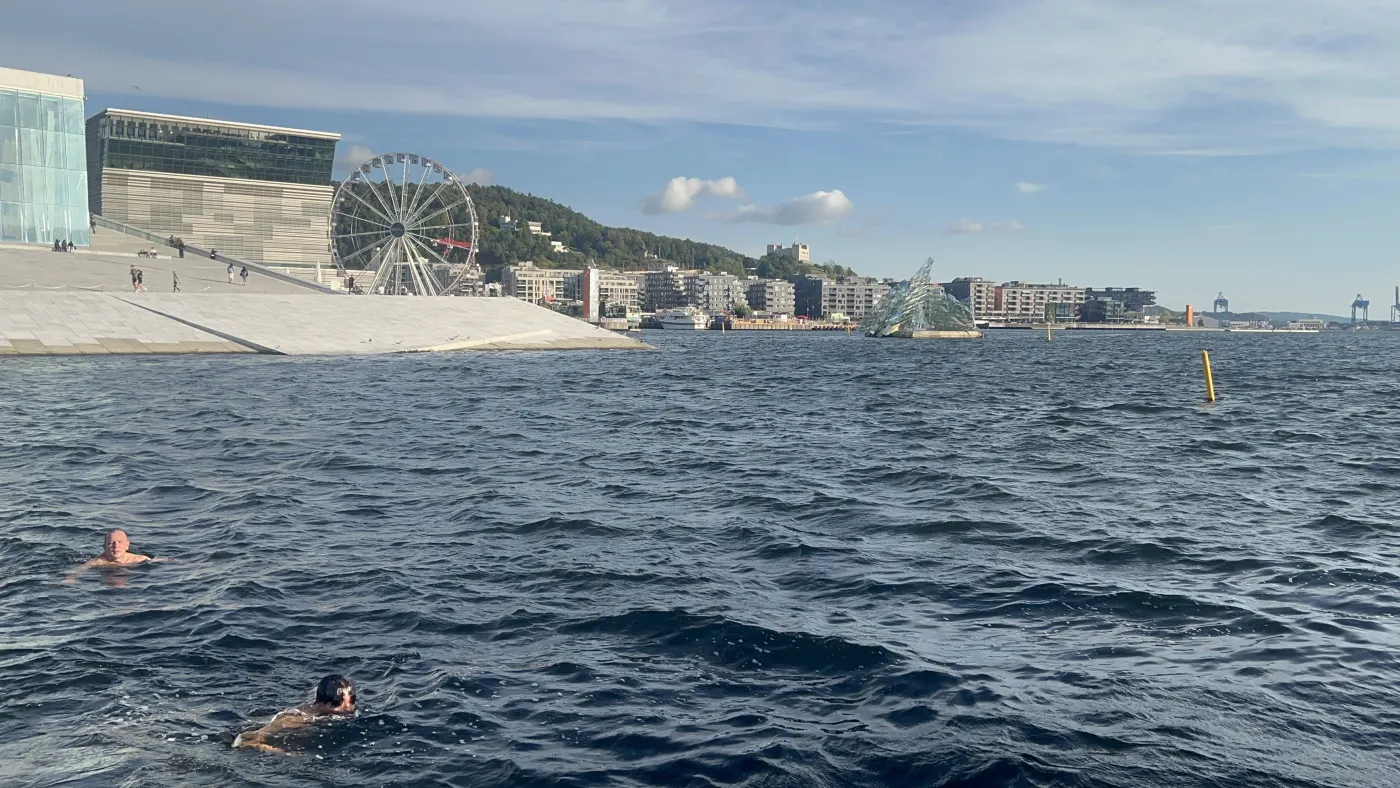 원없이 한 사우나와 수영