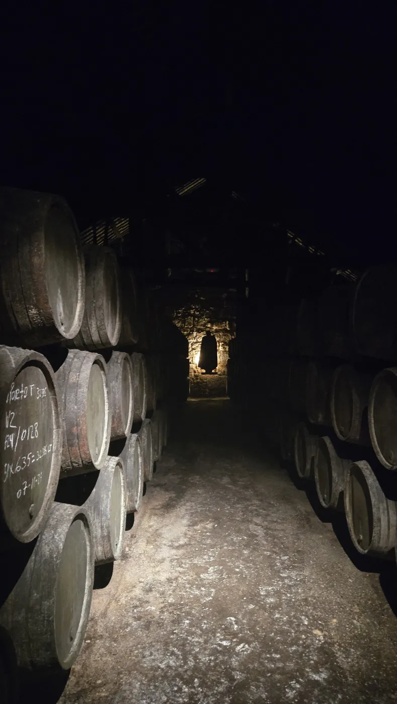 Sandeman 와이너리