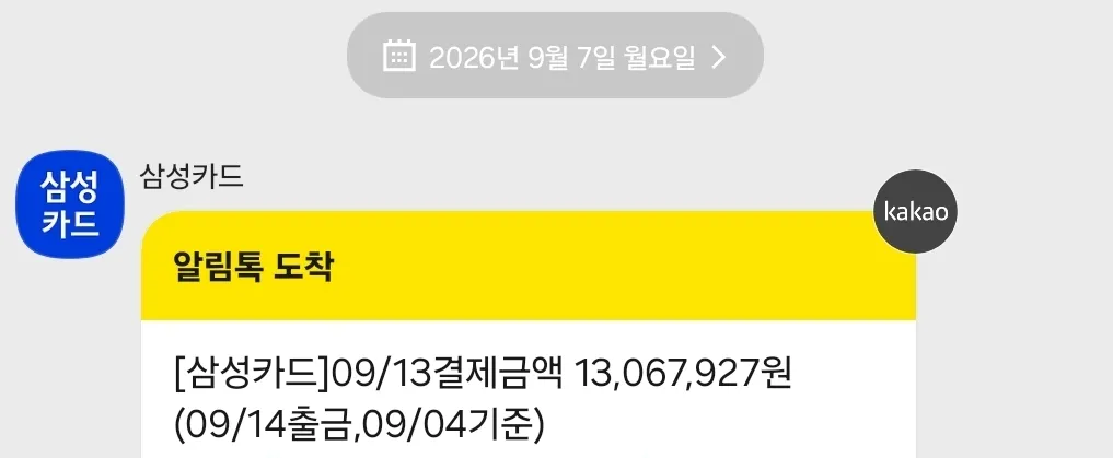 눈을 의심한 카드값